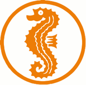 Anfängerschwimmkurs